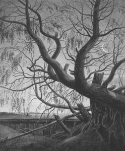 Weide bij maanlicht door Caspar David Friedrich